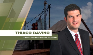 Thiago Davino - Analista de Mercado da Agrinvest