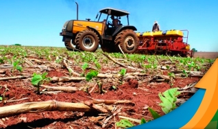 Jonas José Apio - Produtor Rural na Região de Água boa/MT