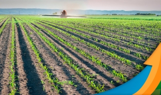 Haroldo Elias Tavares - Analista Centro de Socioeconomia e Plan. Agrícola da Epagri