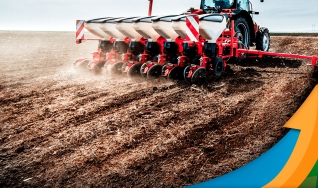 Esther Storch - Diretora Sócia da DASAGRO - Corretora & Consultora de Agronegócios