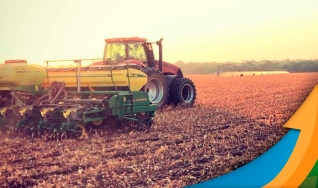 Marcílio Fernandes Marangoni - Engenheiro Agrônomo de Darcinópolis - TO