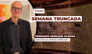 Fernando Henrique Iglesias - Analista da Safras & Mercado
