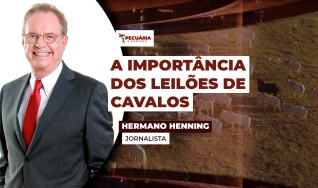 Hermano Henning