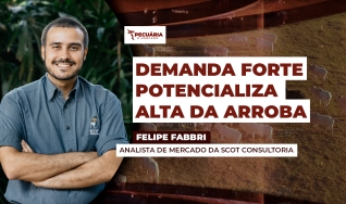 Felipe Fabbri - Analista de Mercado da Scot Consultoria