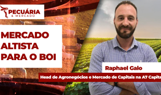 Raphael Galo