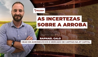 Raphael Galo - Head de Agronegócios e Mercado de Capitais na A7 Capital