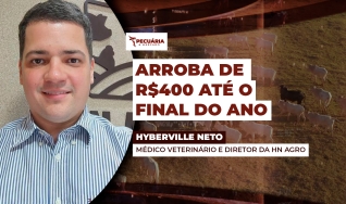 Hyberville Neto - Médico veterinário e Diretor da HN AGRO