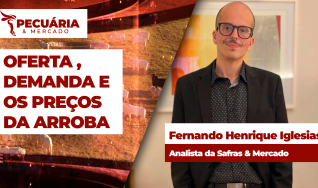 Fernando Henrique Iglesias - Analista da Safras & Mercado