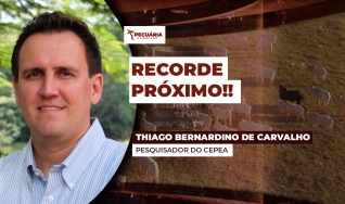 Thiago Bernardino de Carvalho - Pesquisador do Cepea