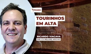 Ricardo Viacava  - Dir. CV Nelore Mocho