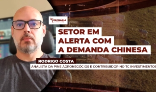 Rodrigo Costa - Analista da PINE Agronegócios e Contribuidor no TC Investimentos