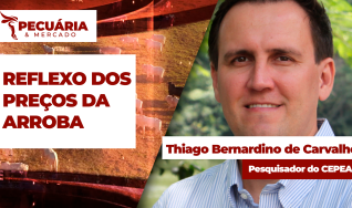 Thiago Carvalho - Pesquisador do CEPEA