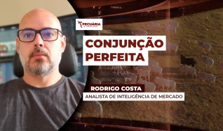 Rodrigo Costa - Analista de Inteligência de Mercado