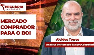 Alcides Torres - Analista de Mercado da Scot Consultoria