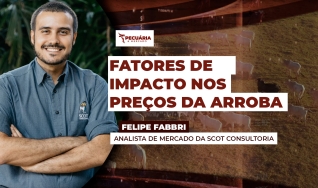 Felipe Fabbri - Analista de Mercado da Scot Consultoria