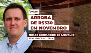 Thiago Bernardino de Carvalho - Pesquisador do Cepea