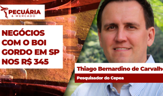Thiago Bernardino de Carvalho - Pesquisador do Cepea