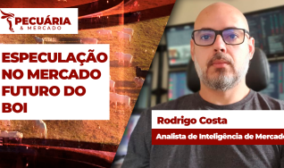 Rodrigo Costa - Analista de Inteligência de Mercado