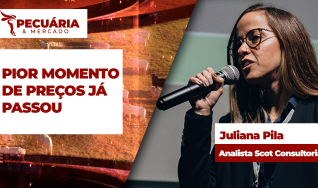 Juliana Pila - Analista Scot Consultoria