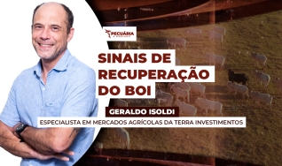 Geraldo Isoldi - Especialista em Mercados Agrícolas da Terra Investimentos