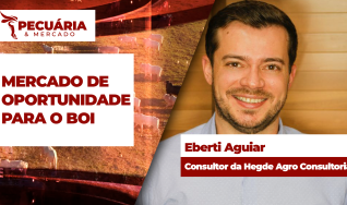 Eberti Aguiar - Consultor da Hegde Agro Consultoria