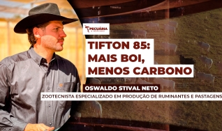 Oswaldo Stival Neto - Zootecnista Especializado em Produção de Ruminantes e Pastagens