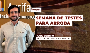 Raul Bertho - Head de Pecuária da Agrifatto