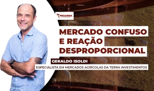 Geraldo Isoldi - Especialista em Mercados Agrícolas da Terra Investimentos