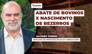 Alcides Torres - Analista de Mercado da Scot Consultoria