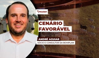 André Aguiar - Sócio e Consultor da Boviplan