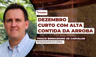Thiago Bernardino de Carvalho - Pesquisador do Cepea