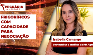 Isabella Camargo - Zootecnista e analista da HN Agro