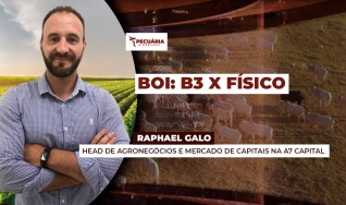 Raphael Galo - Head de Agronegócios e Mercado de Capitais na A7 Capital