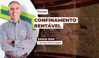 Paulo Dias - CEO da Ponta AGro