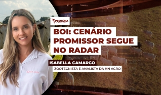 Isabella Camargo - Zootecnista e analista da HN Agro