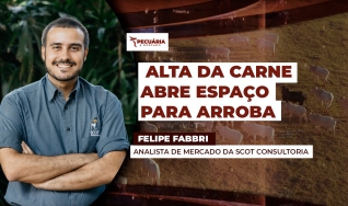 Felipe Fabbri - Analista de Mercado da Scot Consultoria