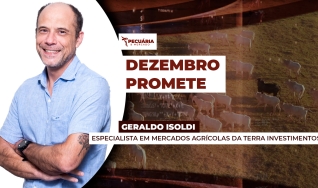 Geraldo Isoldi - Especialista em Mercados Agrícolas da Terra Investimentos