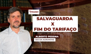 Alberto Pessina - CEO da Agromove
