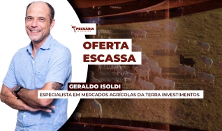 Geraldo Isoldi - Especialista em Mercados Agrícolas da Terra Investimentos