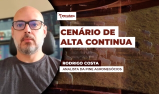 Rodrigo Costa - Analista da PINE Agronegócios