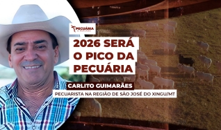 Carlito Guimarães - Pecuarista na Região de São José do Xingu/MT