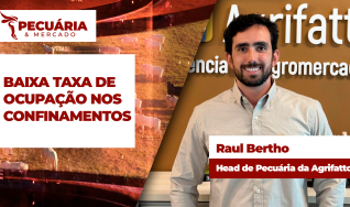 Raul Bertho - Head de Pecuária da Agrifatto