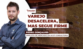 Pedro Gonçalves - Analista de Mercado da Scot Consultoria