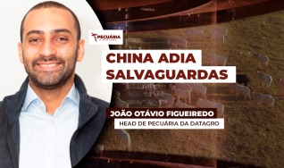 João Otávio Figueiredo - Head de Pecuária da DATAGRO