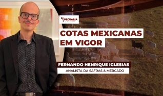 Fernando Henrique Iglesias - Analista da Safras & Mercado