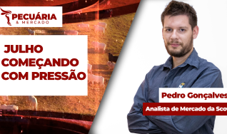Pedro Gonçalves - Analista de Mercado da Scot