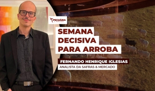 Fernando Henrique Iglesias - Analista da Safras & Mercado