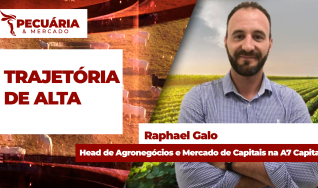 Raphael Galo - Head de Agronegócios e Mercado de Capitais na A7 Capital