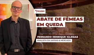 Fernando Henrique Iglesias - Analista da Safras & Mercado