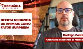 Rodrigo Costa - Analista de Inteligência de Mercado